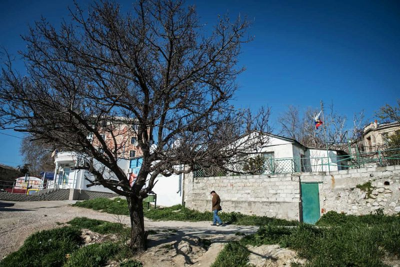 В Крыму и Севастополе высадили более 500 деревьев в честь 80-летия Победы