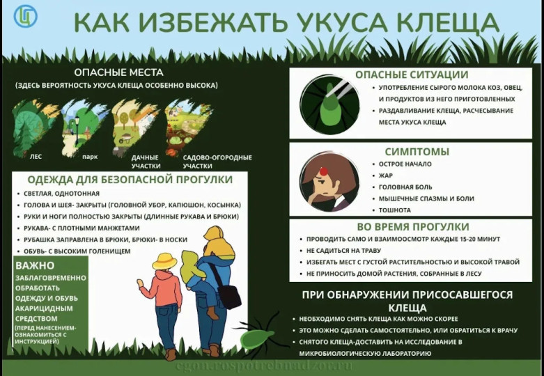 Как избежать укуса клеща