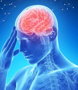 Неделя борьбы с инсультом (в честь Всемирного дня борьбы с инсультом 29 октября) 27 октября-02 ноября 2025 года