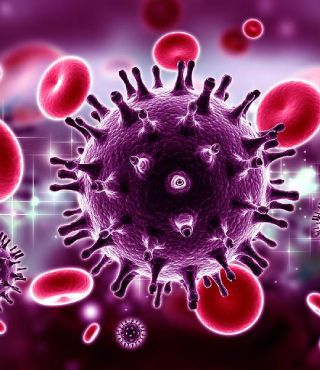 Неделя борьбы со СПИДом и информирования о венерических заболеваниях (в честь Всемирного дня борьбы со СПИДом)