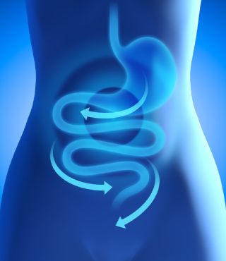 Неделя профилактики заболеваний ЖКТ