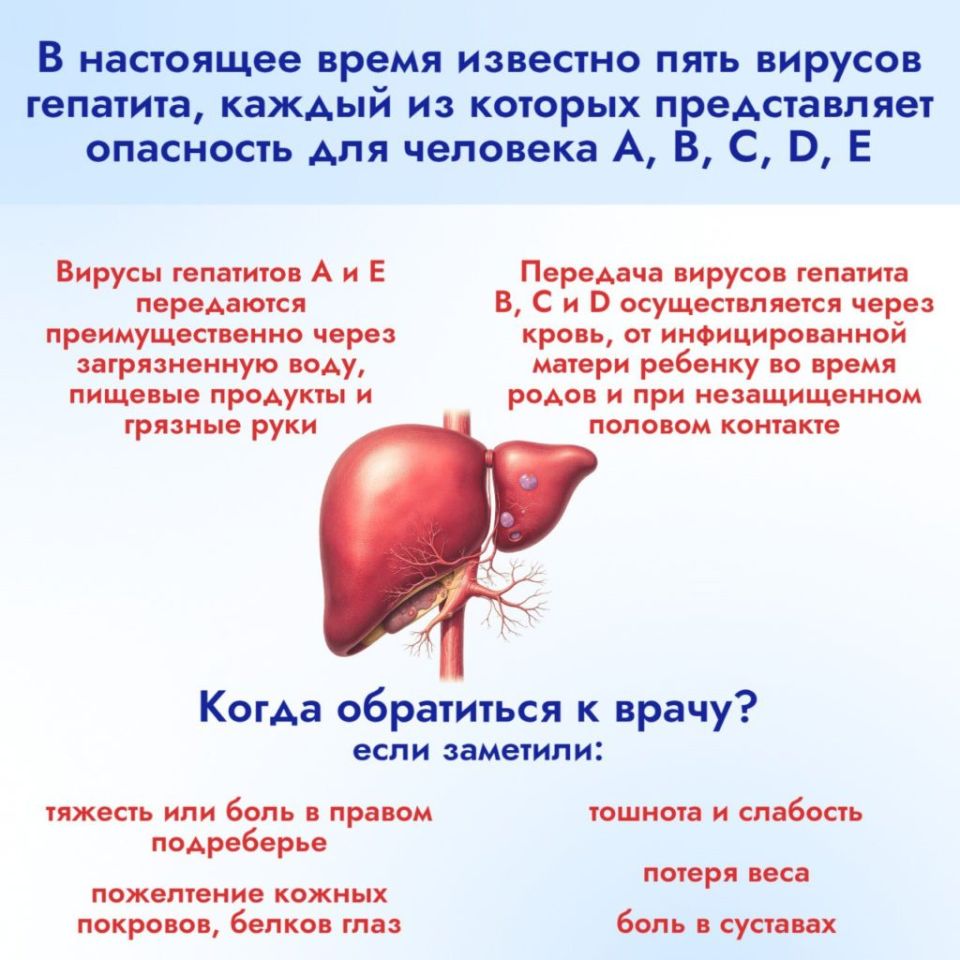 вирусы гепатита