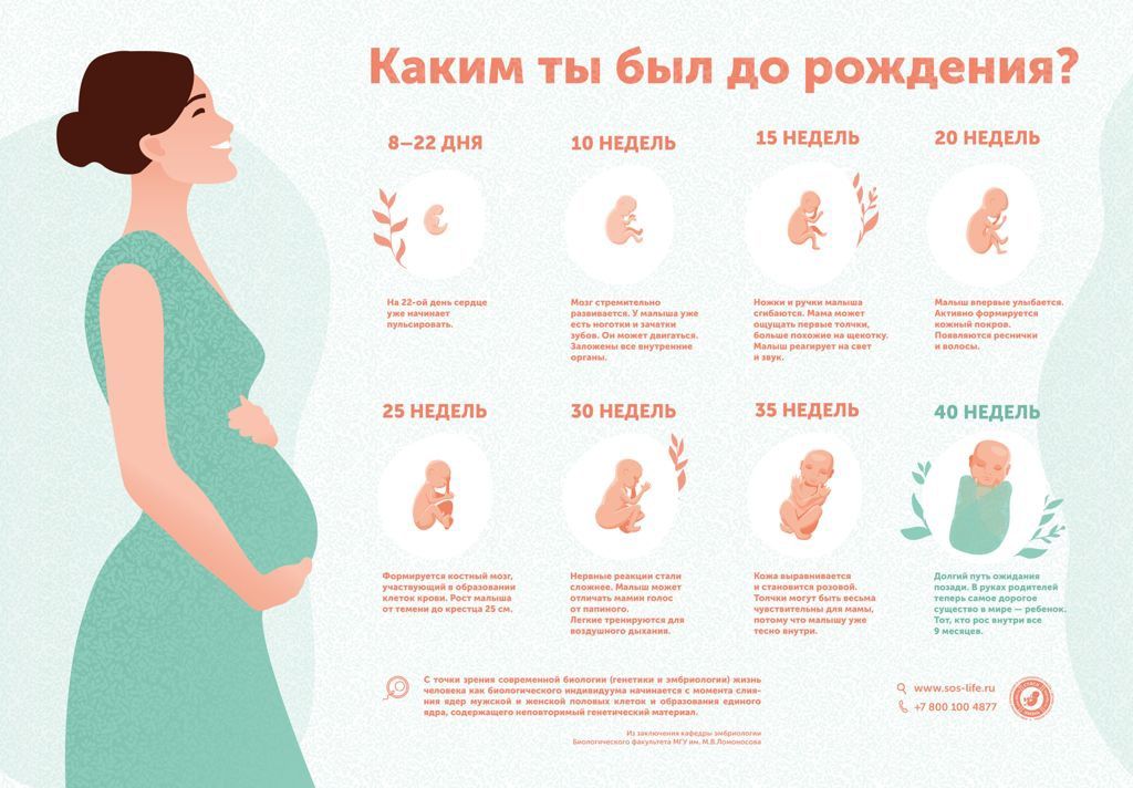 Каким ты был до рождения.jpg