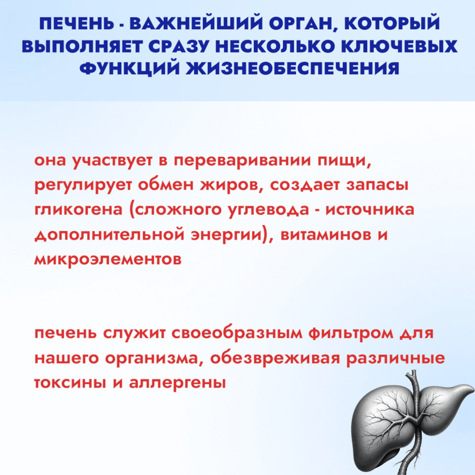 Неделя профилактики заболеваний печени 2