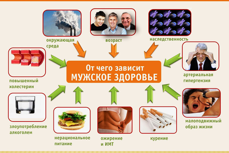 от чего зависит мужское здоровье
