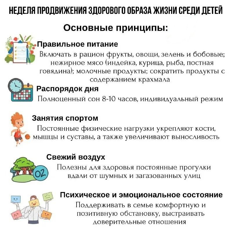 Основные принципы здорового образа жизни