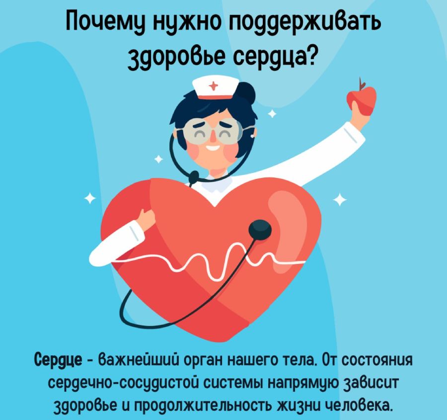 Почему нужно поддерживать здоровье сердца