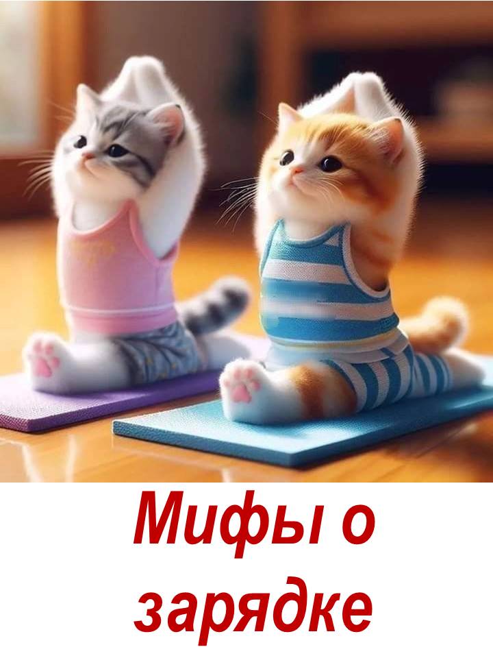 Мифы о зарядке