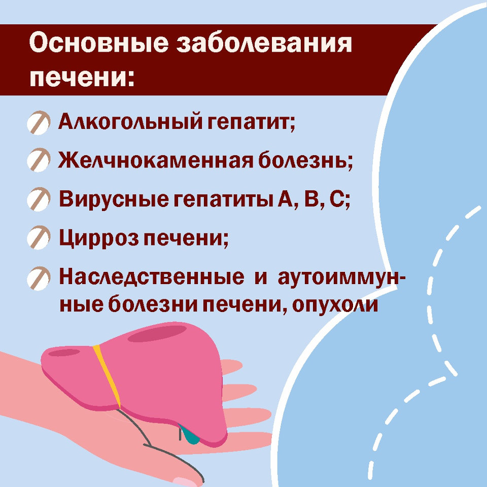 Неделя профилактики заболеваний печени 3