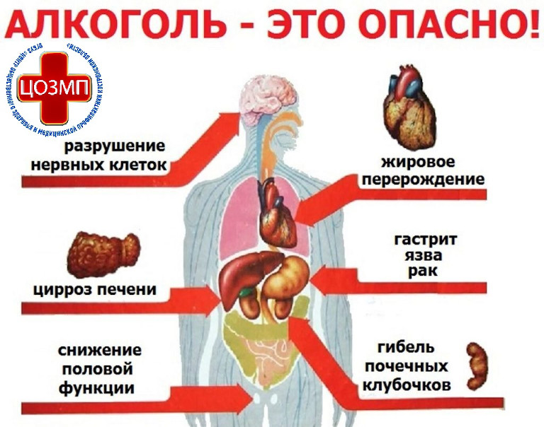 Неделя отказа от алкоголя 7