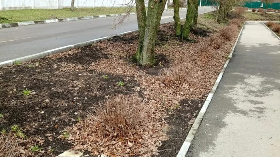 В Тульской области подводят итоги Месячника чистоты