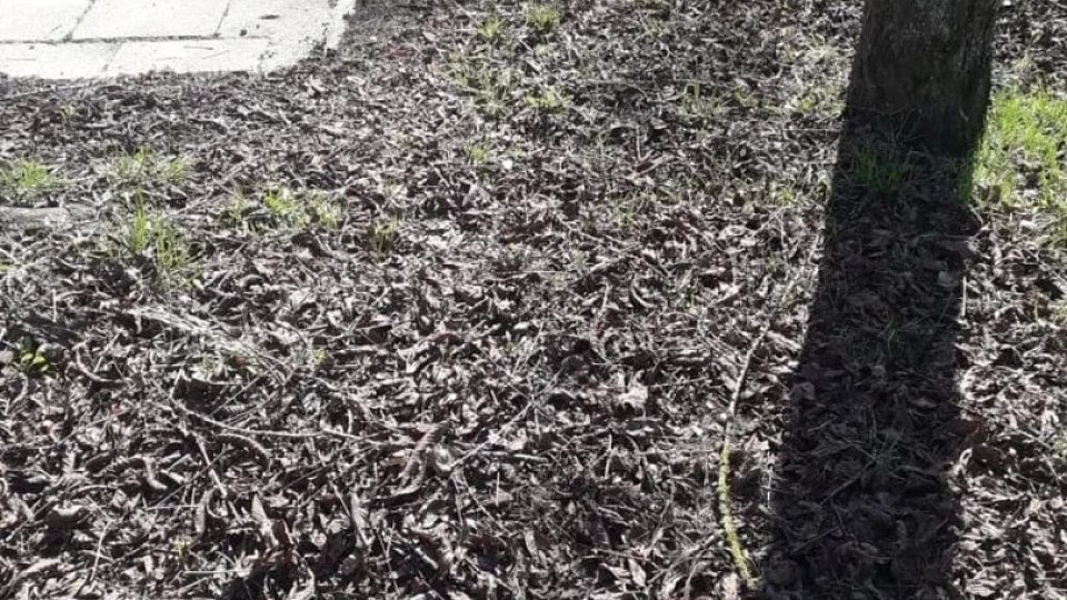 В Тульской области подводят итоги Месячника чистоты