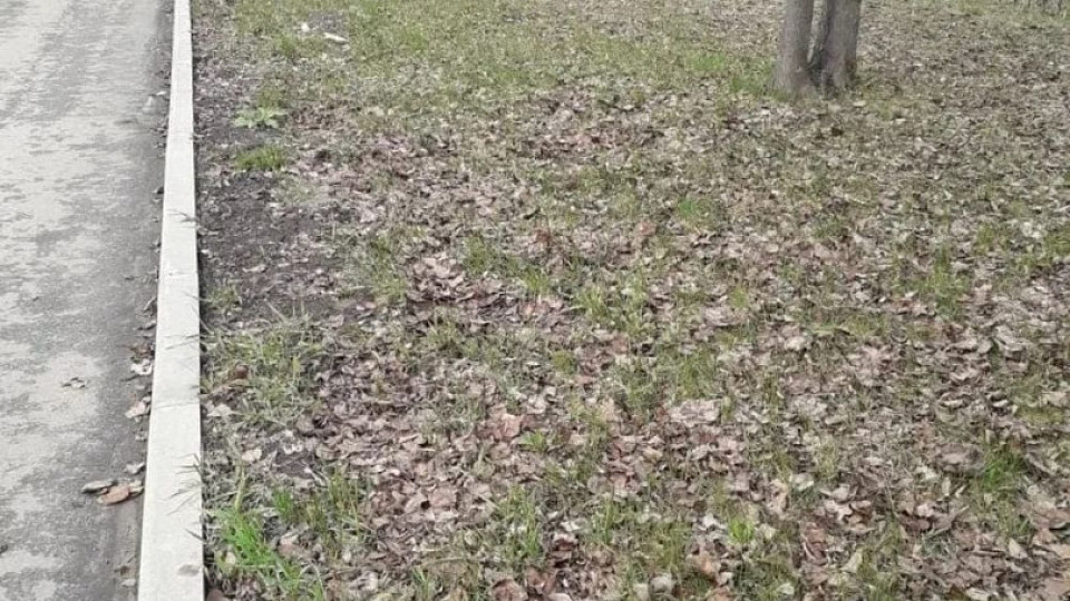 В Тульской области подводят итоги Месячника чистоты