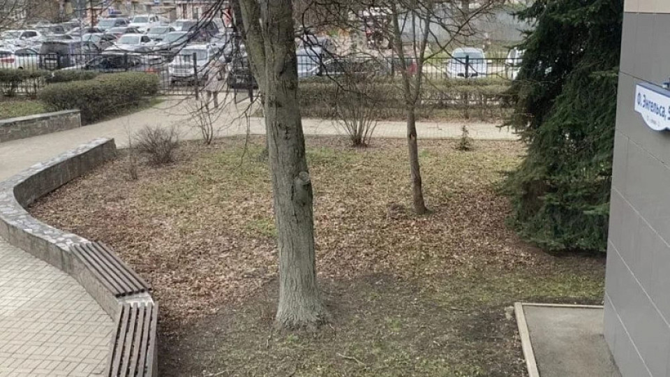 В Тульской области подводят итоги Месячника чистоты