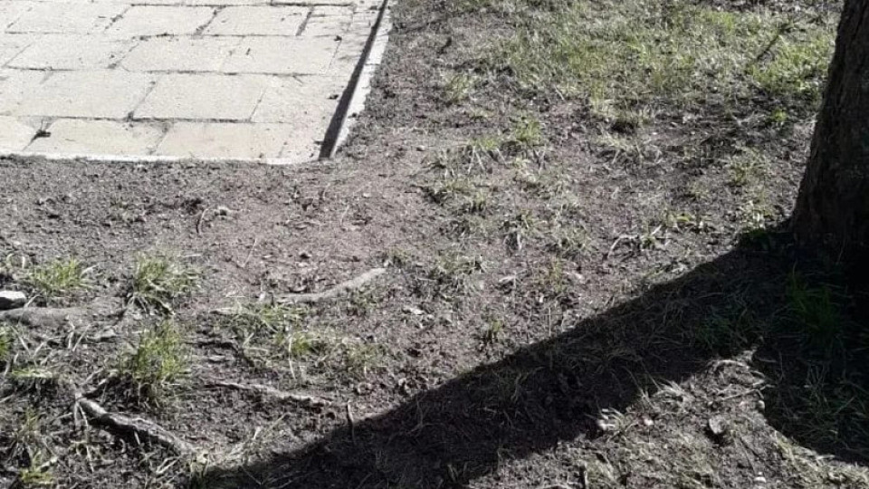 В Тульской области подводят итоги Месячника чистоты