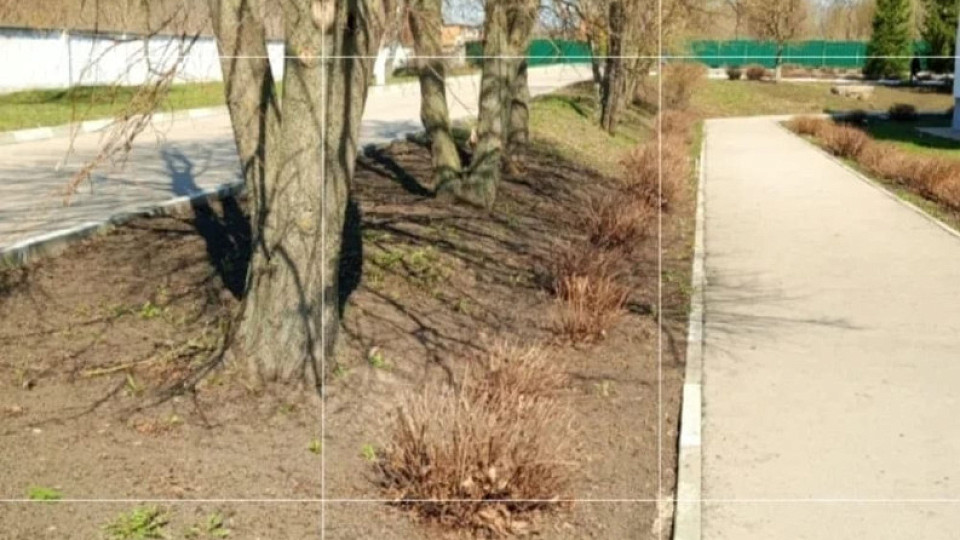 В Тульской области подводят итоги Месячника чистоты