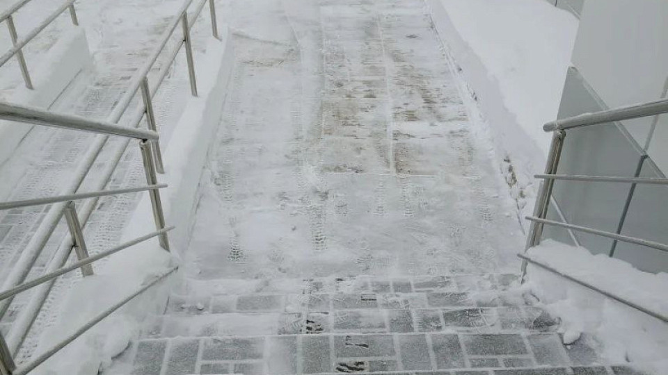 Снежный субботник